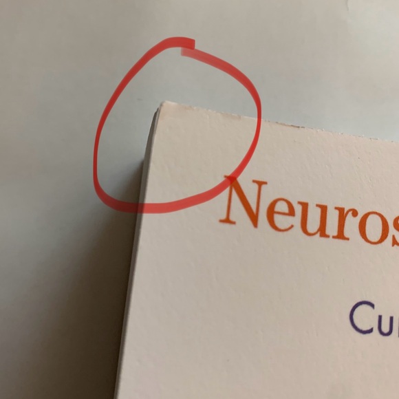 Neuroscience for Social Work: Current Research and Practice - Picture 15 of 17